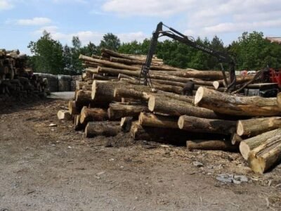 Camion de bois ultra sec en grume – Hêtre, Chêne, Charme – 30 stères