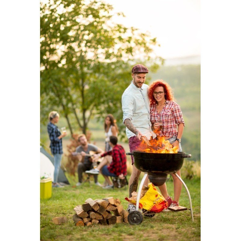 Palette de 1st de bois de chauffage spécial barbecue - sec séchoirs - prêt à l'emploi - mélange feuillus - Vue 2