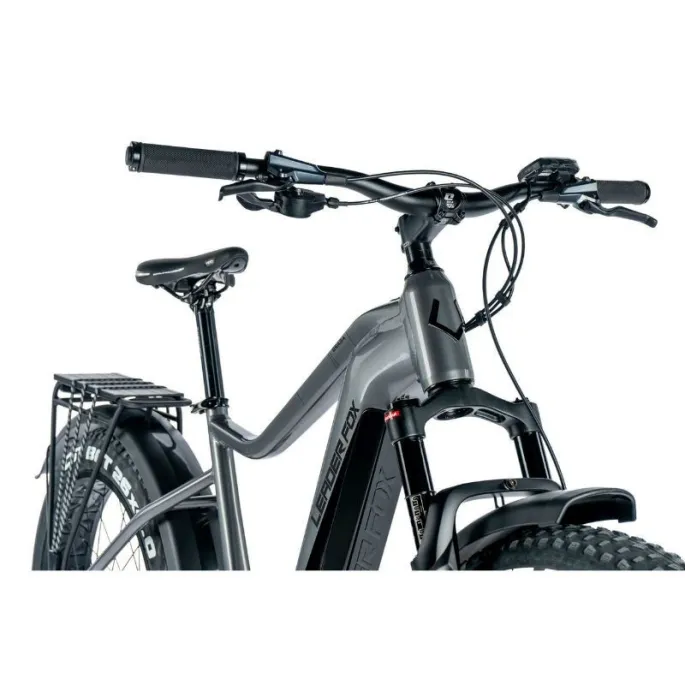 Leader Fox BRASA - Vue 4