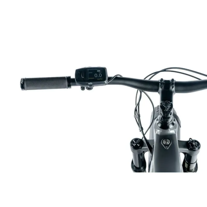 Leader Fox BRASA - Vue 3